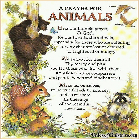 A Prayer for Animals